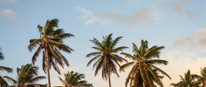 Phong Linh Property Legal Check: Buyer’s Guide